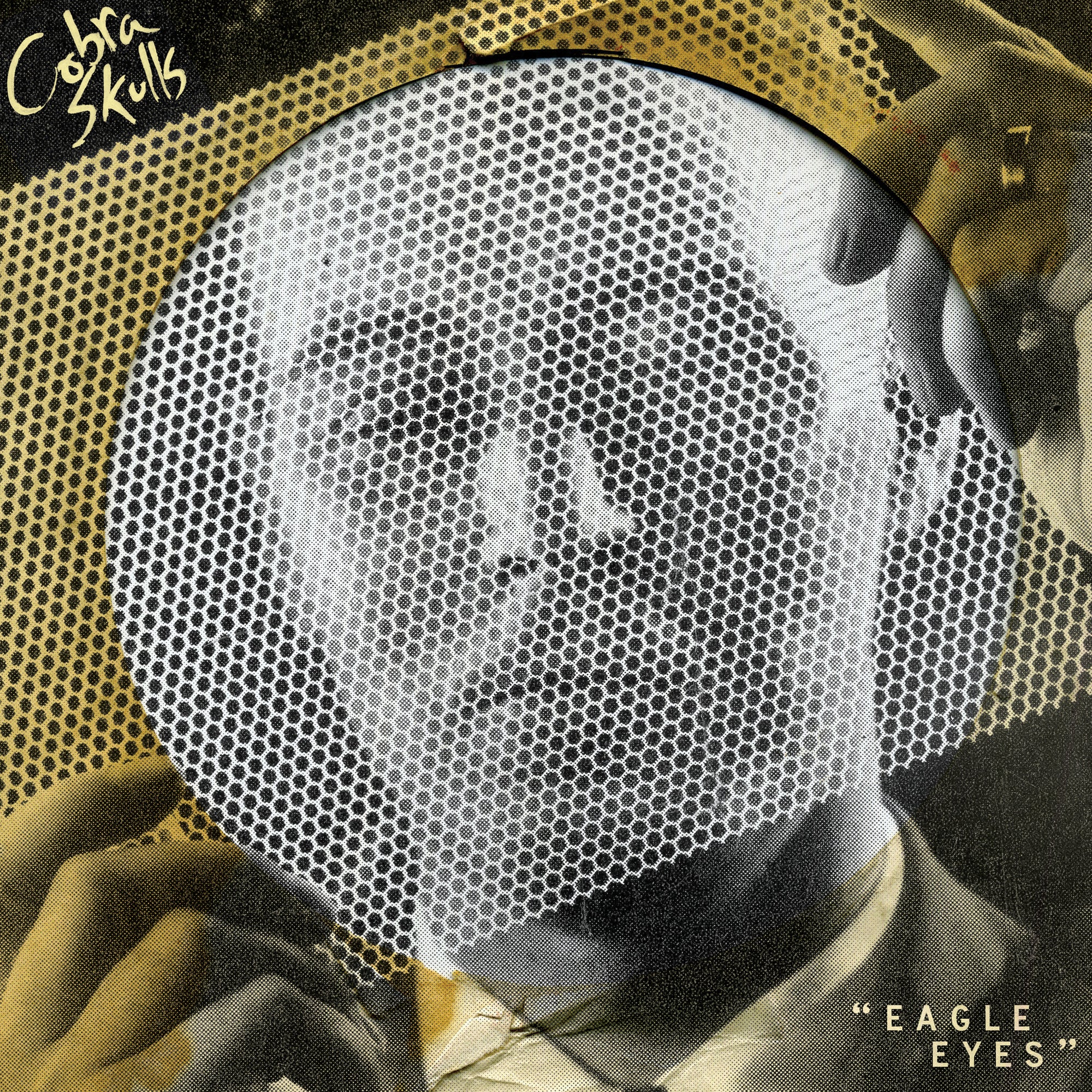 A grayscale portrait overlaid with a honeycomb pattern features a person at the edge, while “Cobra Skulls” appears in bold yellow text, evoking the raw style of punk vinyl cover art.