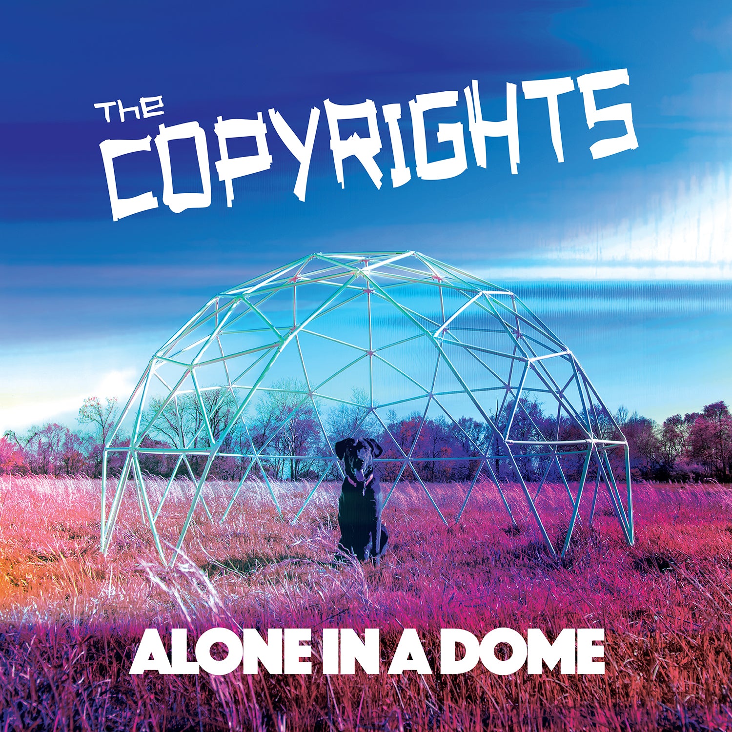 A dog sits inside a metal geodesic dome on pink grass beneath a blue sky. The Copyrights is at the top and Alone in a Dome at the bottom, resembling a limited edition black vinyl or CD cover with full track listing by Copyrights.