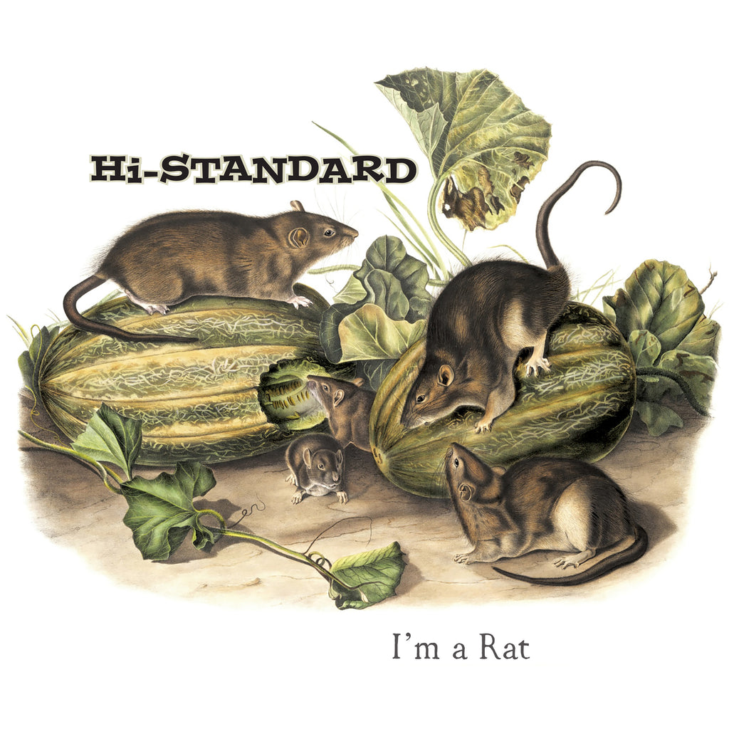 New Hi-Standard Picture Disc 7”